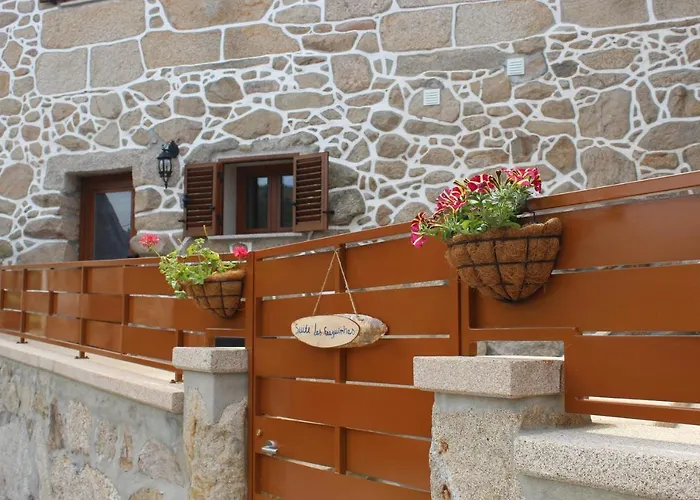 Fraguinhas システロ